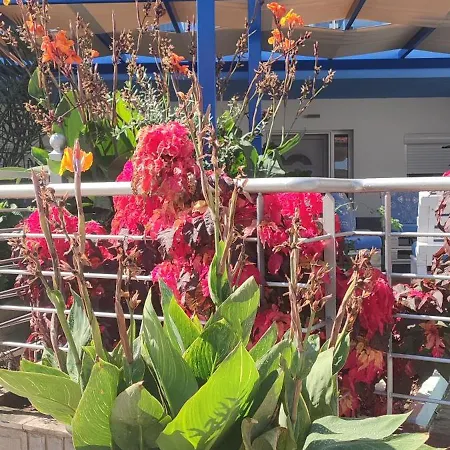 Celeste Deluxe Skala Potamia (Thasos)