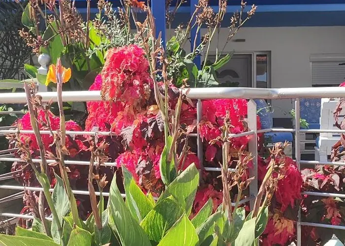 Celeste Deluxe Skala Potamia (Thasos)